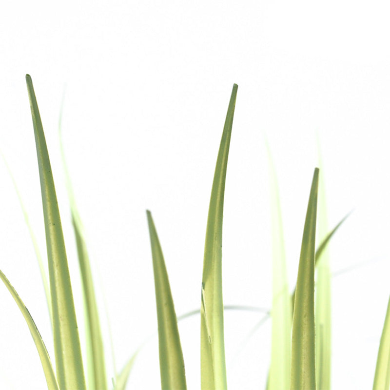 Kunst Grasplanten 93 cm & 133 cm – Natuurlijke uitstraling zonder onderhoud