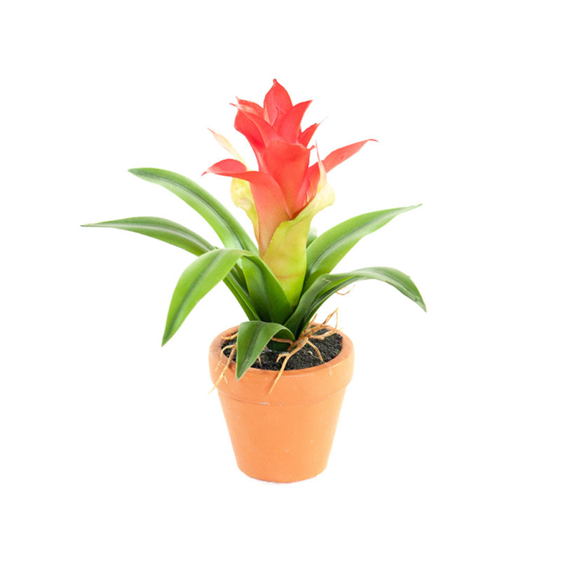 Kunst Mini Guzmania Rood 18 cm