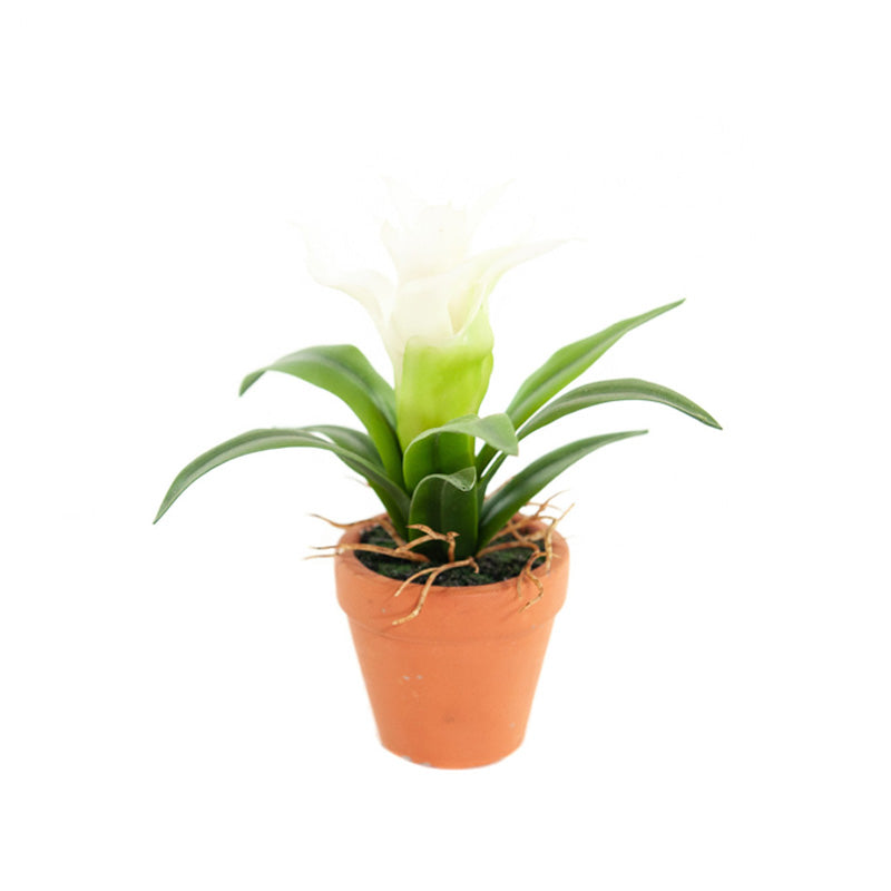 Kunst Mini Guzmania Wit 18 cm