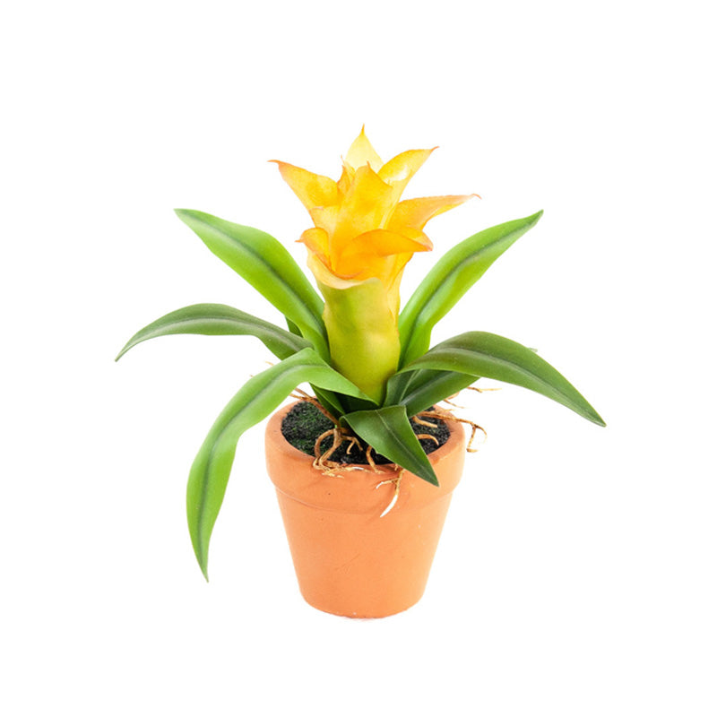 Kunst Mini Guzmania 18 cm - Set van 4 kleuren