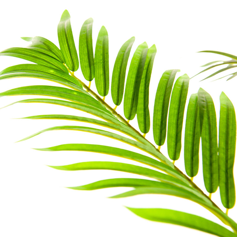 Kunst Palm Areca De Luxe – Tropische sfeer zonder onderhoud
