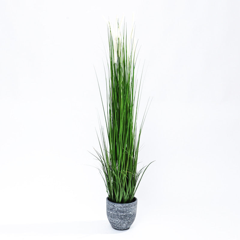 Kunst Pluimgras met Witte Pluimen – Elegante Sfeer zonder Onderhoud
