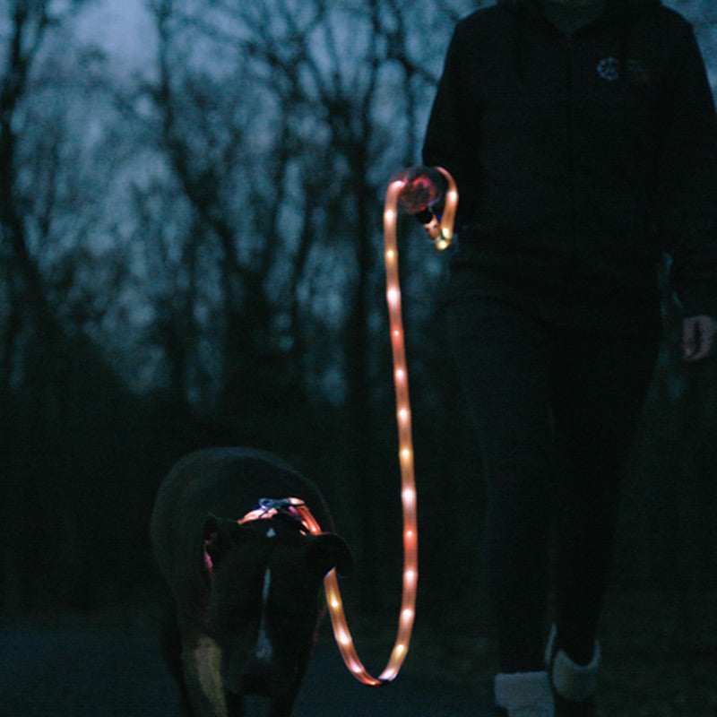 Lichtgevende Hondenriem – Veilig Wandelen in het Donker