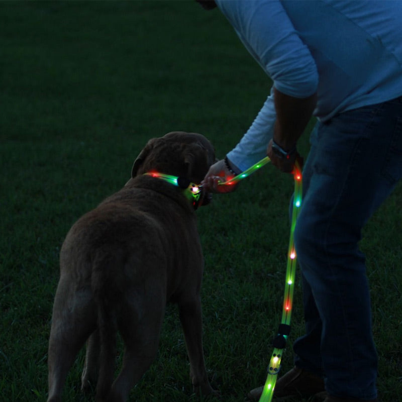 Lichtgevende Hondenriem – Veilig Wandelen in het Donker