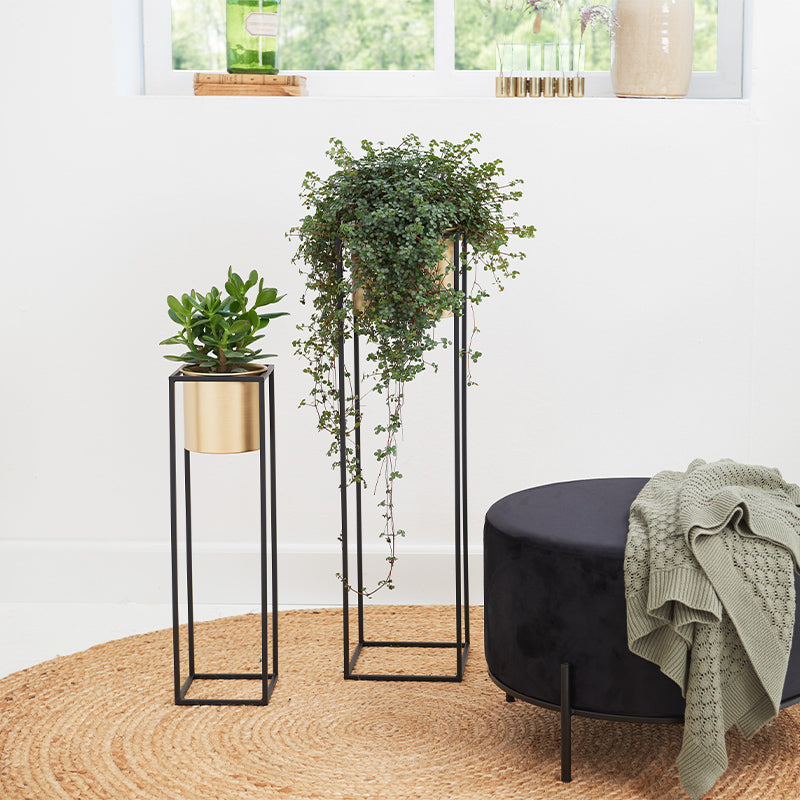 Plantenbak Violet - Verkrijgbaar in 2 kleuren - Geheime Deals