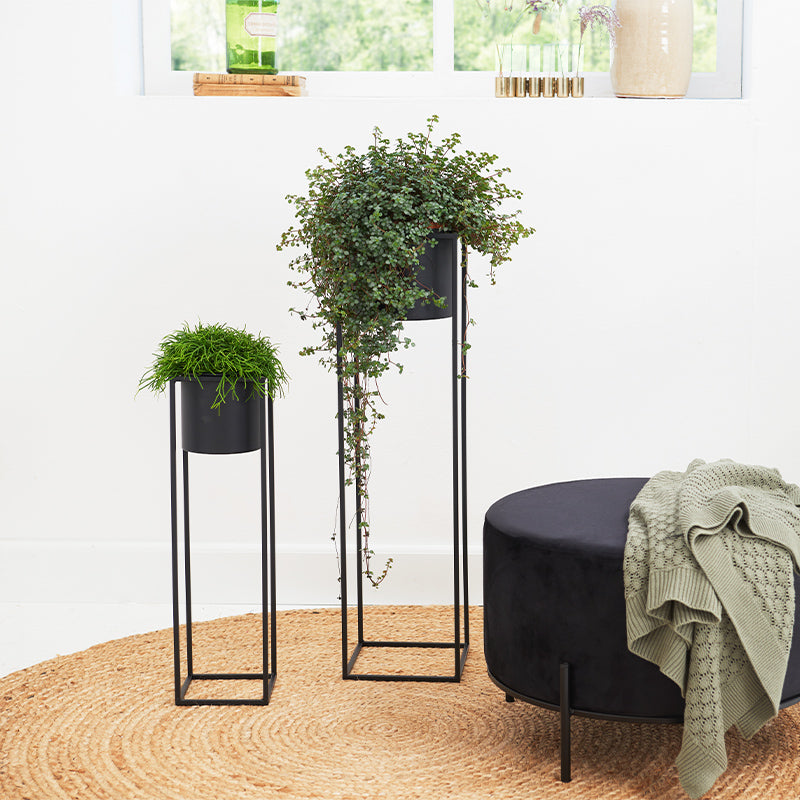Plantenbak Violet - Verkrijgbaar in 2 kleuren - Geheime Deals