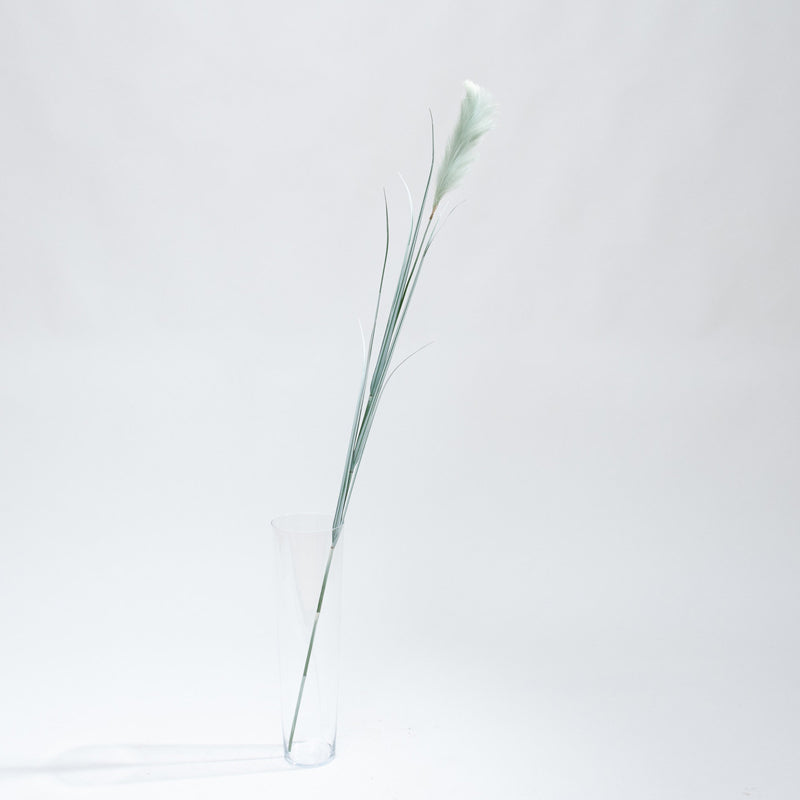 Kunst Pampasgras met Groene Pluim – Trendy Sfeer zonder Onderhoud
