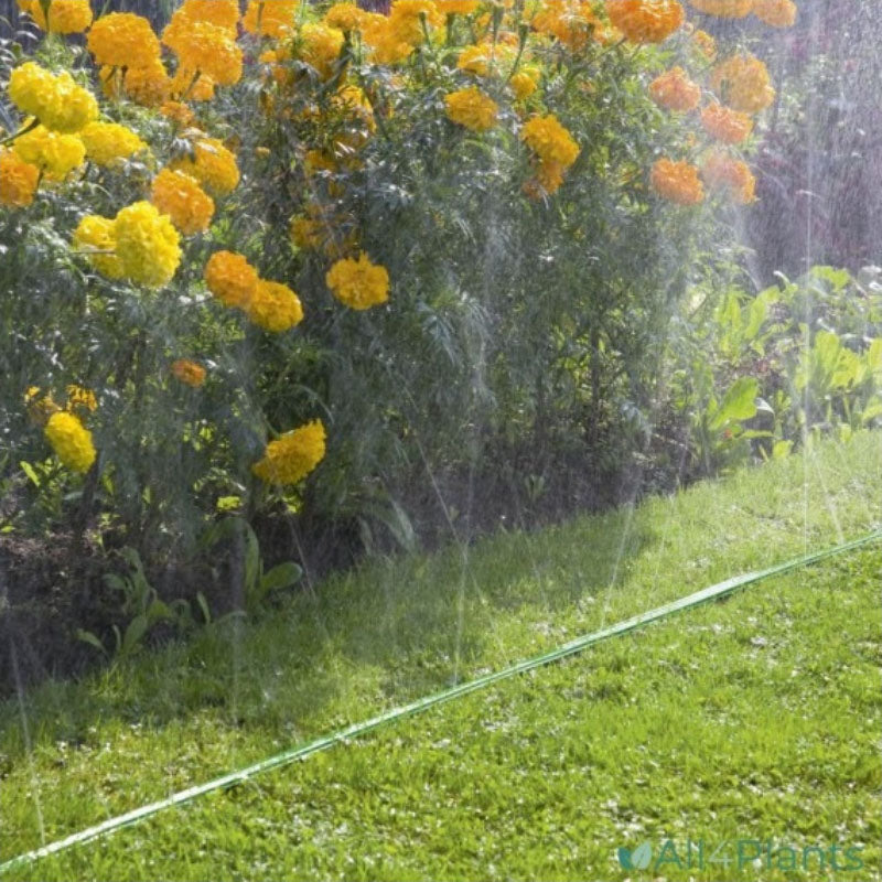 Sprinklerslang 15 Meter Groen – Flexibele Tuinslang voor Gelijkmatige Bewatering
