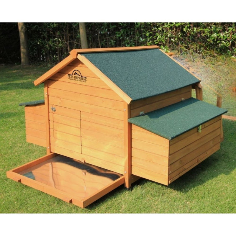 Pets Imperial Savoy Kippenhok – Dubbele Nestkast voor 6 tot 8 Kippen