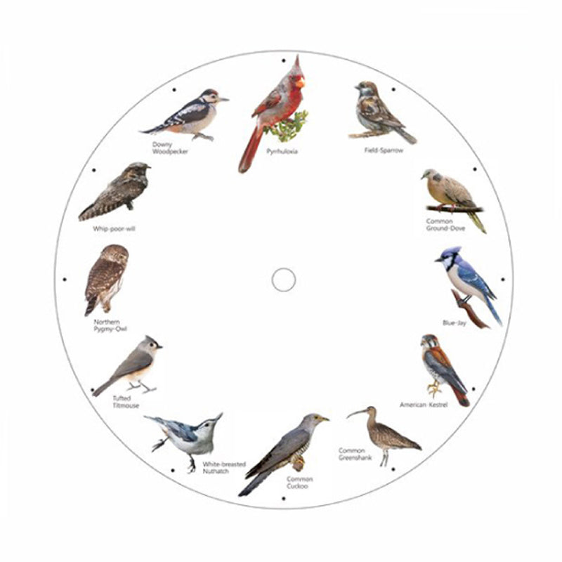 Clock with Bird Sounds