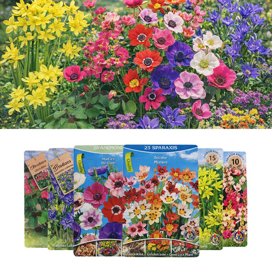 Bloembollen Mix – Keuze uit Diverse Bloemen voor Tuin en Balkon