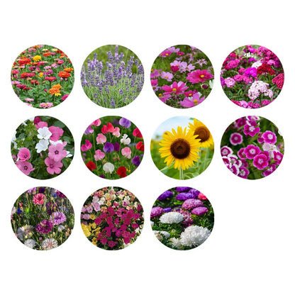 Bloemzaden Mix – 10 Soorten Kleurrijke Tuinbloemen