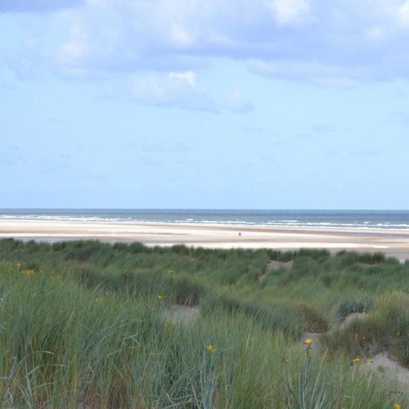Burgh-Haamstede – Fletcher Duinhotel Burgh Haamstede, Zeeland