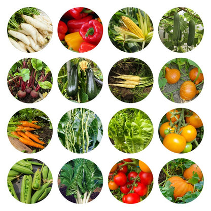 Groente- en Bloemenzaden Pakket – 20 Soorten