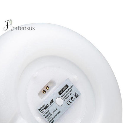 Hortensus - LED Tafellamp met 15 Kleuren – Inclusief Afstandsbediening 🌈✨