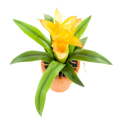 Kunst Mini Guzmania oranje 18 cm