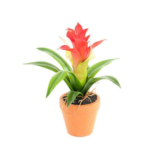 Kunst Mini Guzmania Rood 18 cm
