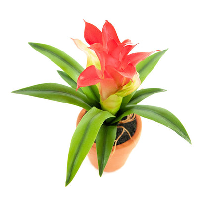 Kunst Mini Guzmania Rood 18 cm