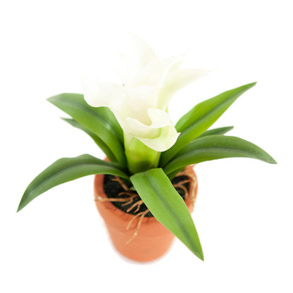 Kunst Mini Guzmania Wit 18 cm