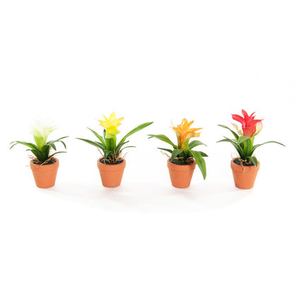 Kunst Mini Guzmania 18 cm - Set van 4 kleuren