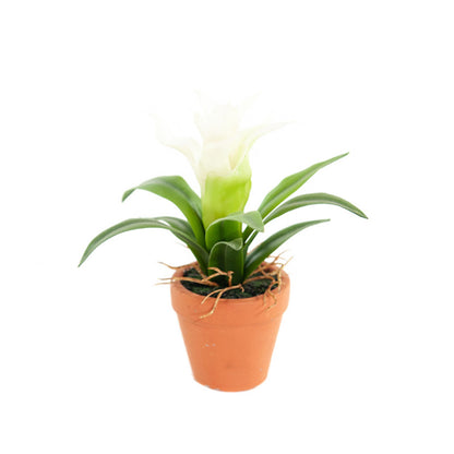 Kunst Mini Guzmania 18 cm - Set van 4 kleuren