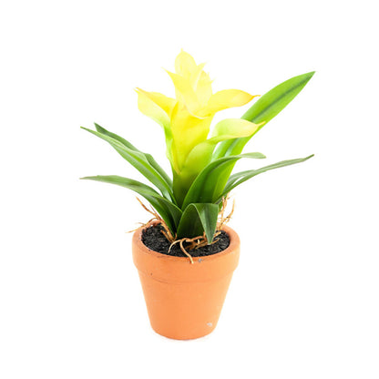 Kunst Mini Guzmania 18 cm - Set van 4 kleuren