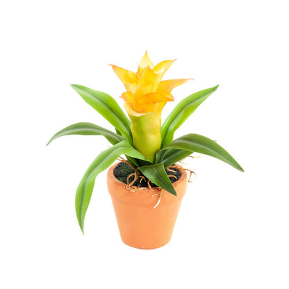 Kunst Mini Guzmania 18 cm - Set van 4 kleuren