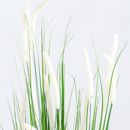 Kunst Pluimgras Witte Pluimen – 150-180 cm