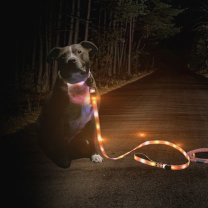 Lichtgevende Hondenriem – Veilig Wandelen in het Donker