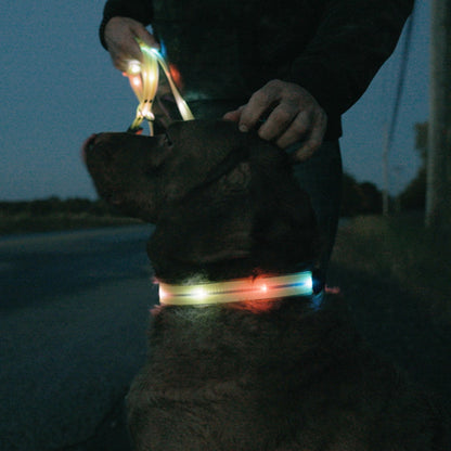 Lichtgevende Hondenriem – Veilig Wandelen in het Donker