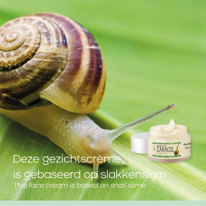 Orange Care Baba de Caracol Gezichtscrème – Slakkencrème voor Hydratatie & Huidherstel
