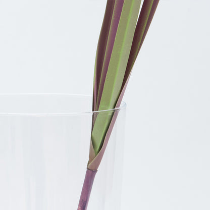 Kunst Pampasgras met Paarse Pluim – Trendy Sfeer zonder Onderhoud