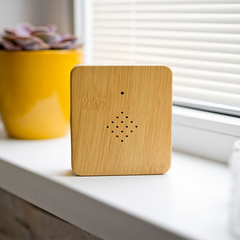 Bird Box Sound Box with Sensor