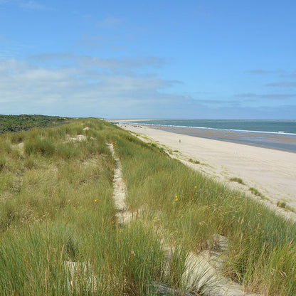 Renesse – Fletcher Strandhotel Renesse, Zeeland