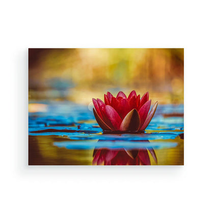 Diamond Painting - 40x50 cm