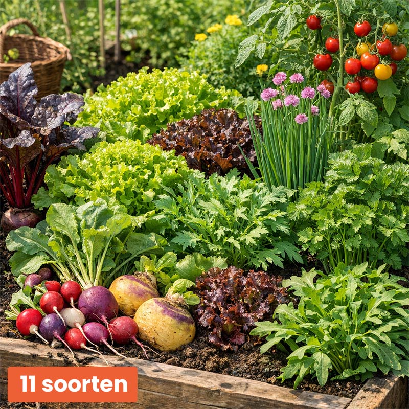 Groentezaden Pakket – 11 Soorten
