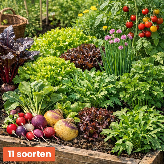 Groentezaden Pakket – 11 Soorten
